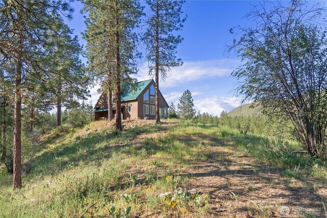 11 Appaloosa Rd, Winthrop, WA 98862 - view of yard