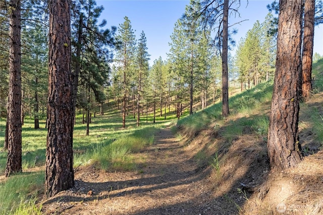 11 Appaloosa Rd, Winthrop, WA 98862 - view of nature