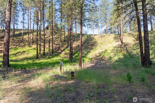 11 Appaloosa Rd, Winthrop, WA 98862 - view of local wilderness