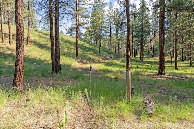 11 Appaloosa Rd, Winthrop, WA 98862 - view of undeveloped land