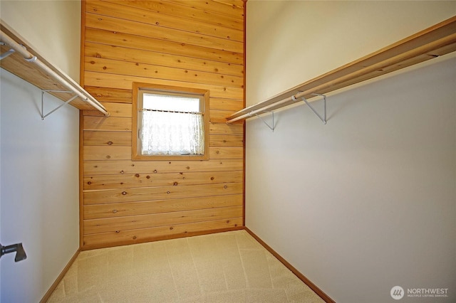 1051 Lightning Way, Camano Island, WA 98282 - walk in closet with carpet