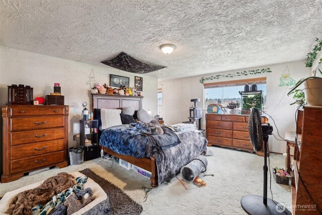 7103 56th St E, Puyallup, WA 98371 - photo 26