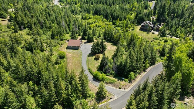 1751 Stone Ridge Dr, Cle Elum, WA 98922 - bird's eye view of a forest