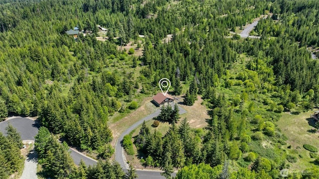 1751 Stone Ridge Dr, Cle Elum, WA 98922 - aerial view of a forest