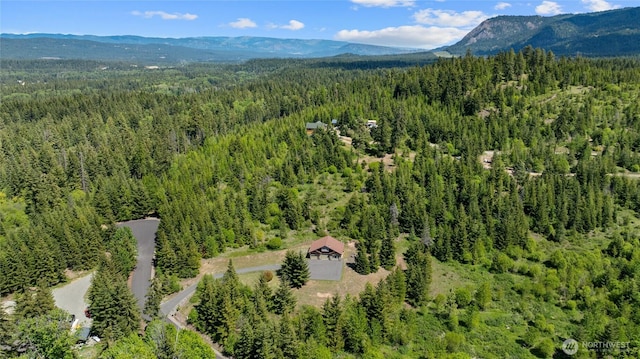 1751 Stone Ridge Dr, Cle Elum, WA 98922 - bird's eye view of a heavily wooded area and a mountain backdrop