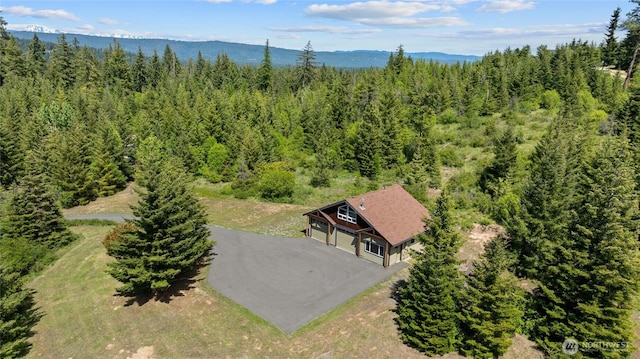 1751 Stone Ridge Dr, Cle Elum, WA 98922 - view from above of property featuring a heavily wooded area and a mountainous background
