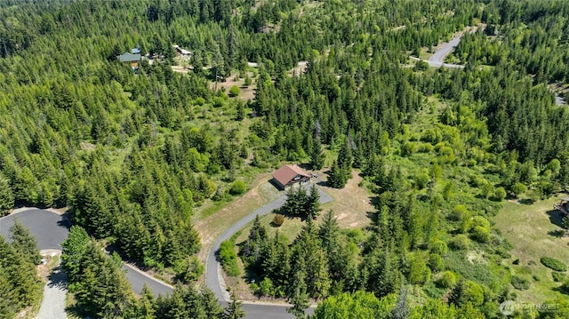 1751 Stone Ridge Dr, Cle Elum, WA 98922 - aerial view of a forest