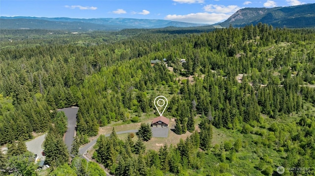 1751 Stone Ridge Dr, Cle Elum, WA 98922 - drone / aerial view of a forest and a mountain backdrop