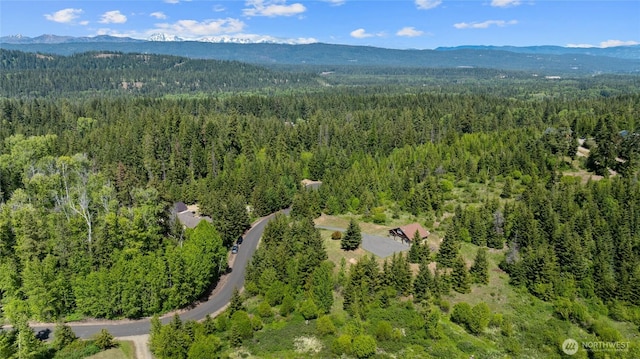 1751 Stone Ridge Dr, Cle Elum, WA 98922 - aerial view of a forest and mountains