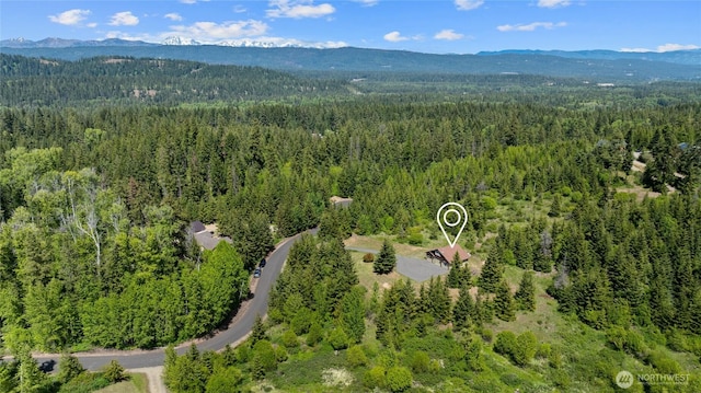 1751 Stone Ridge Dr, Cle Elum, WA 98922 - bird's eye view of a heavily wooded area and a mountainous background
