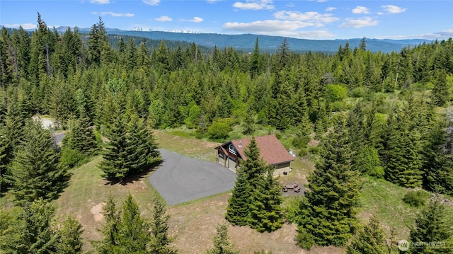 1751 Stone Ridge Dr, Cle Elum, WA 98922 - view of subject property with a heavily wooded area and a mountain backdrop