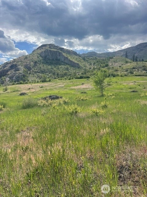 0 Black Canyon Rd, Pateros, WA 98846