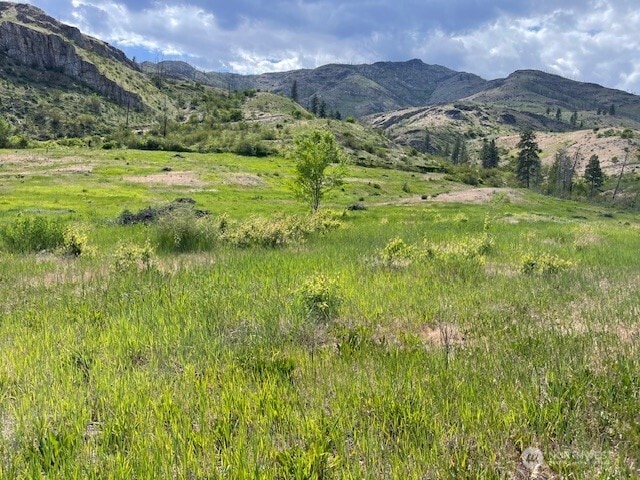 0 Black Canyon Rd, Pateros, WA 98846