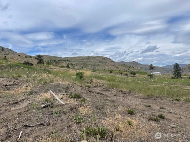 0 Black Canyon Rd, Pateros, WA 98846