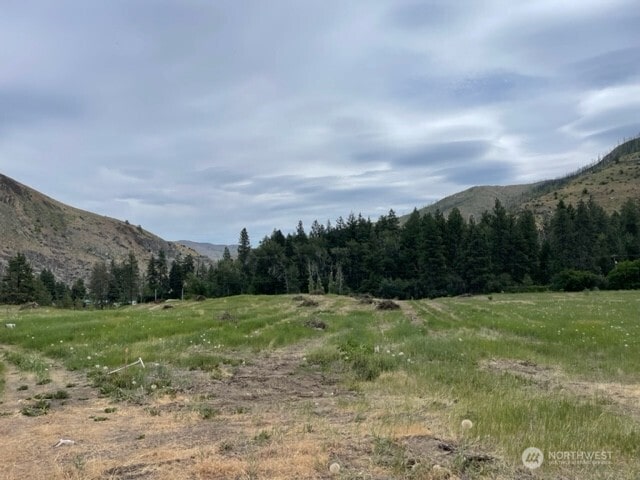 0 Black Canyon Rd, Pateros, WA 98846