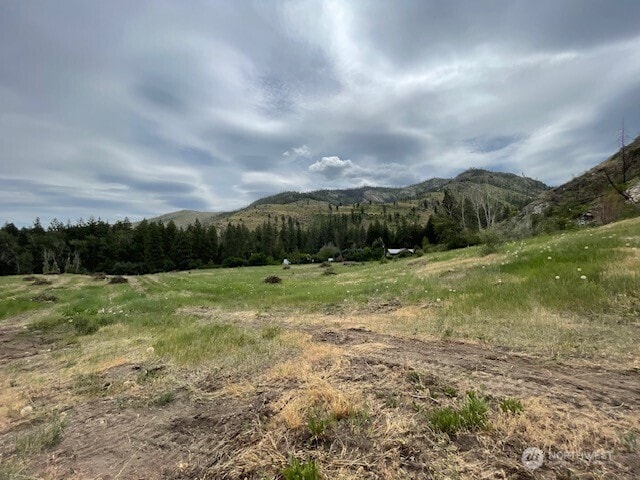 0 Black Canyon Rd, Pateros, WA 98846