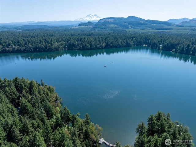 17943 Clear Lake Blvd SE, Yelm, WA 98597 - aerial view of a forest and a water and mountain view