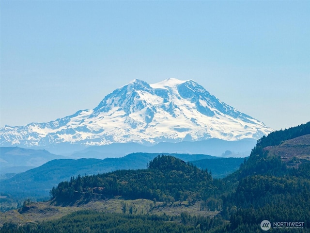 17943 Clear Lake Blvd SE, Yelm, WA 98597 - view of mountain background featuring a heavily wooded area