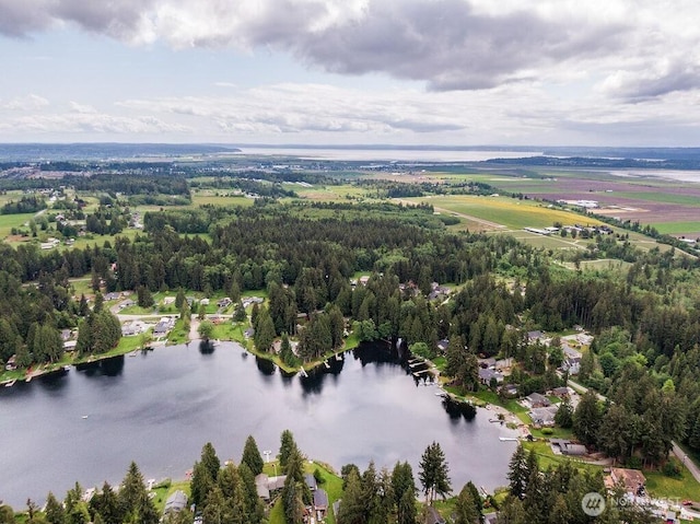 8302 319th St NW, Stanwood, WA 98292 - aerial view of a large body of water