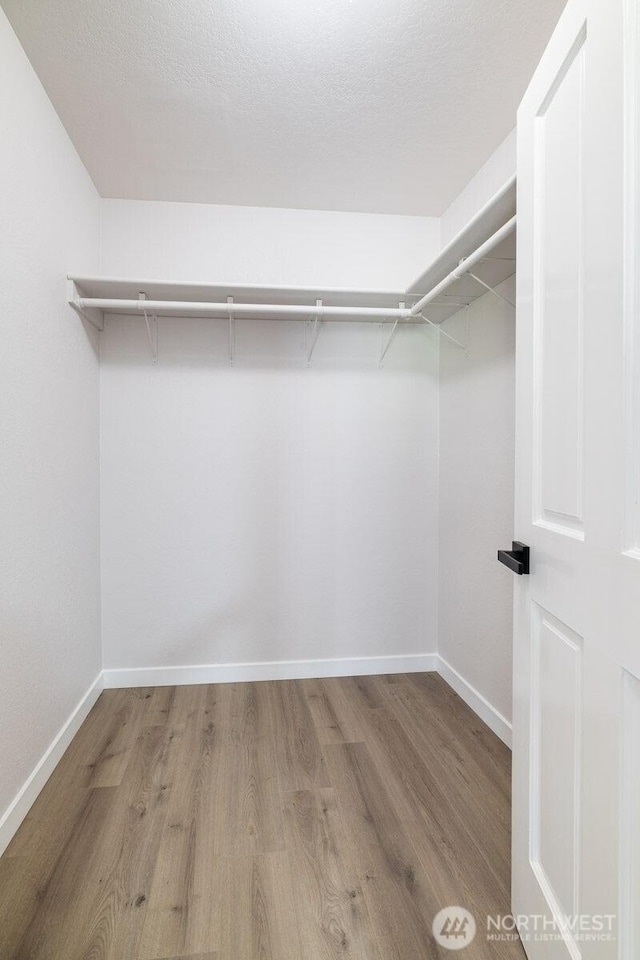 8302 319th St NW, Stanwood, WA 98292 - walk in closet with wood finished floors