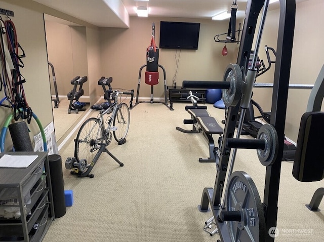 1809 Briarwood Pl, Wenatchee, WA 98802 - exercise room featuring carpet floors