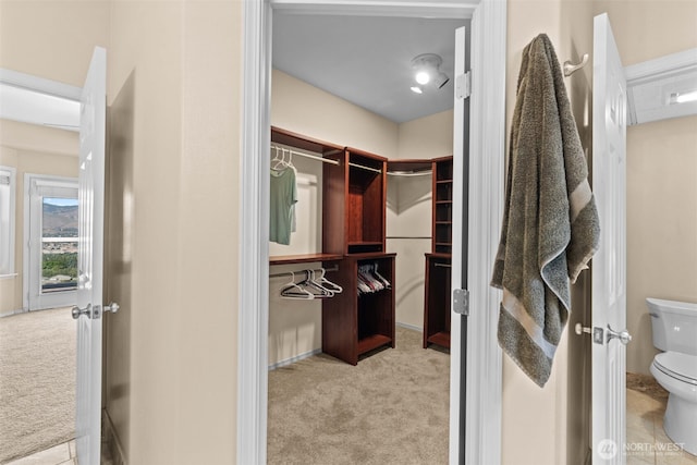 1809 Briarwood Pl, Wenatchee, WA 98802 - spacious closet with carpet