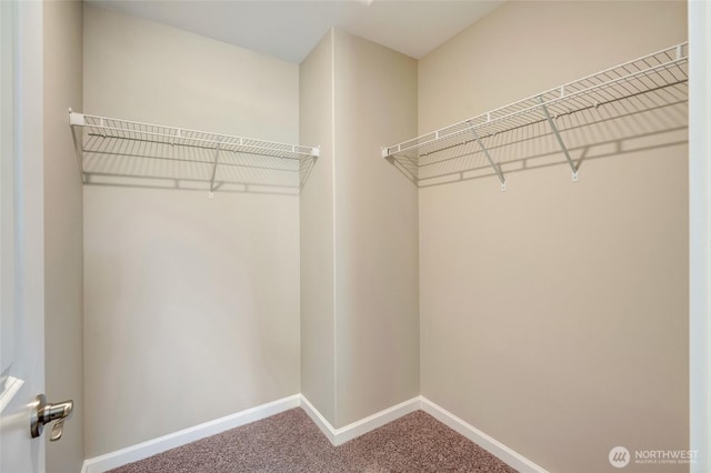 8605 E Gilman Ave, Arlington, WA 98223 - spacious closet with carpet floors
