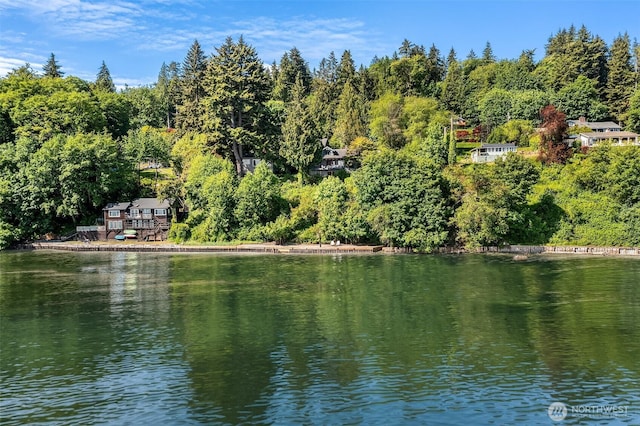 14830 Glen Acres Rd SW, Vashon, WA 98070 - water view
