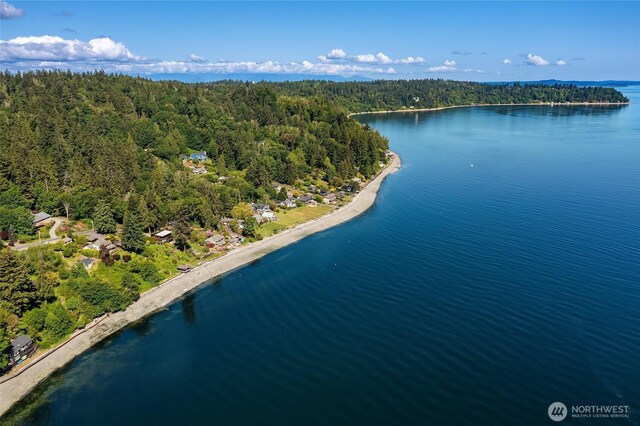 14830 Glen Acres Rd SW, Vashon, WA 98070 - bird's eye view of a heavily wooded area and a large body of water