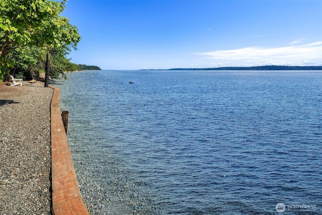 14830 Glen Acres Rd SW, Vashon, WA 98070 - water view