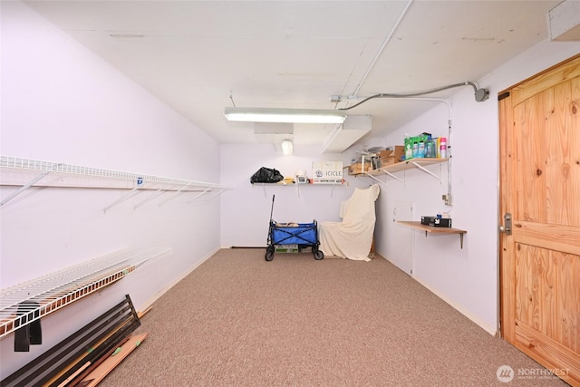 4245 Williams Ave W, Seattle, WA 98199 - walk in closet featuring carpet