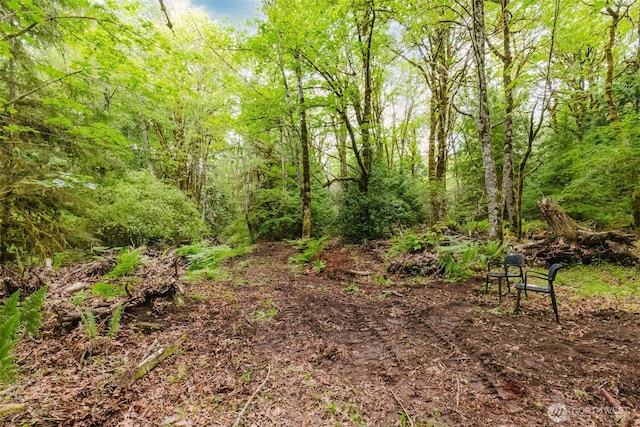 7817 E Hilldale Rd, Port Orchard, WA 98366 - photo 5