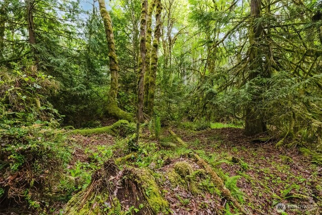 7817 E Hilldale Rd, Port Orchard, WA 98366 - photo 8
