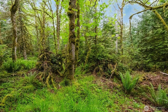 7817 E Hilldale Rd, Port Orchard, WA 98366 - photo 13