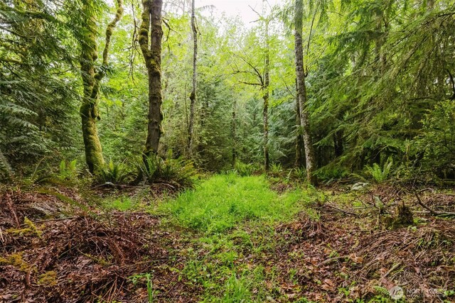7817 E Hilldale Rd, Port Orchard, WA 98366 - photo 16