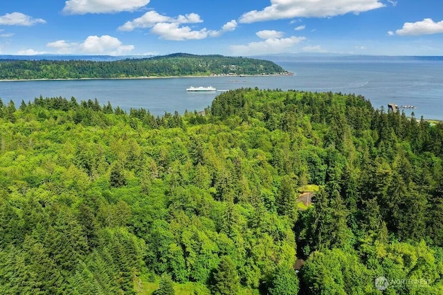 7817 E Hilldale Rd, Port Orchard, WA 98366 - photo 1