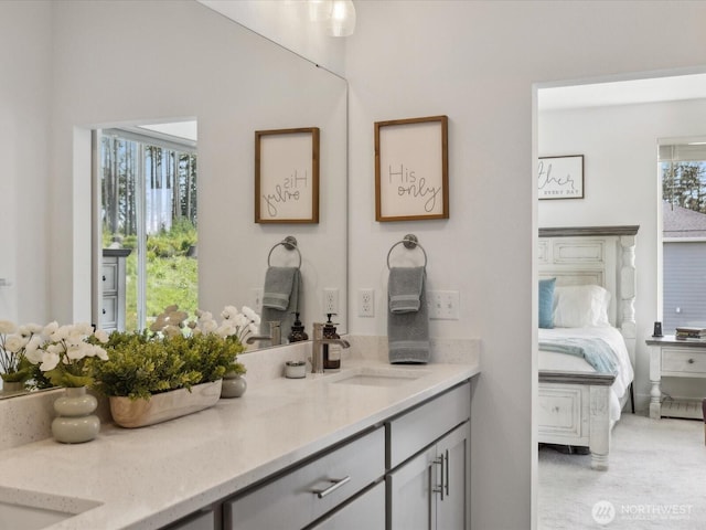 14505 117th St NE, Lake Stevens, WA 98258 - ensuite bathroom featuring vanity and plenty of natural light