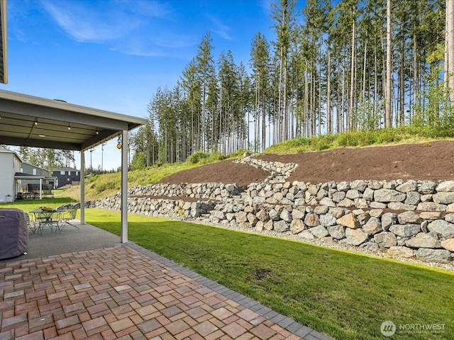 14505 117th St NE, Lake Stevens, WA 98258 - view of green lawn featuring a patio