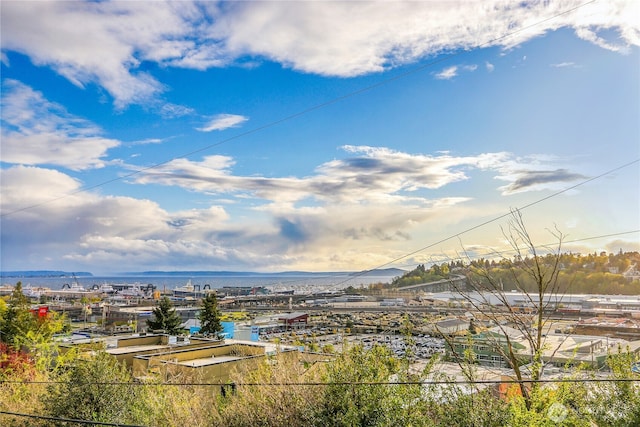 2040 13th Ave W Unit 13, Seattle, WA 98119 - mountain view