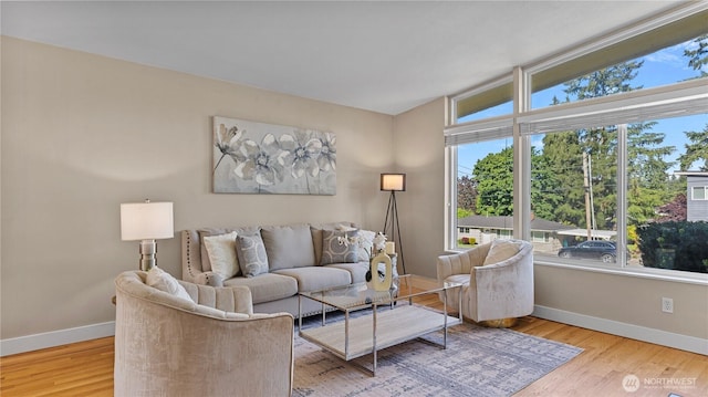 3953 153rd Ave SE, Bellevue, WA 98006 - living area with healthy amount of natural light, baseboards, and wood finished floors