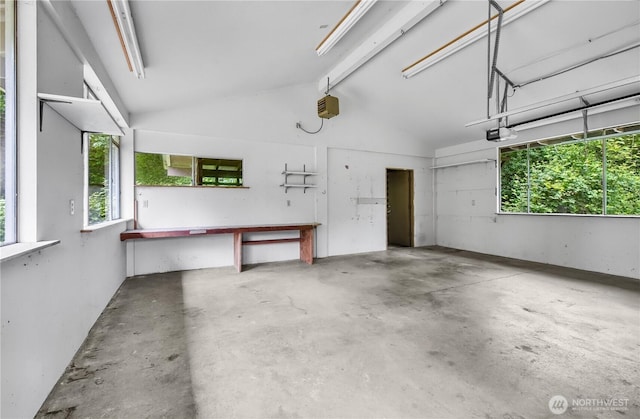 15828 3rd Ave SE, Bothell, WA 98012 - garage featuring a garage door opener and a workshop area