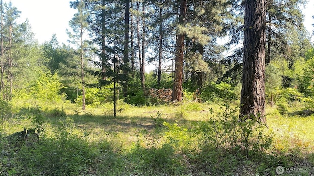 3001 Highway Sr970 C, Cle Elum, WA 98922