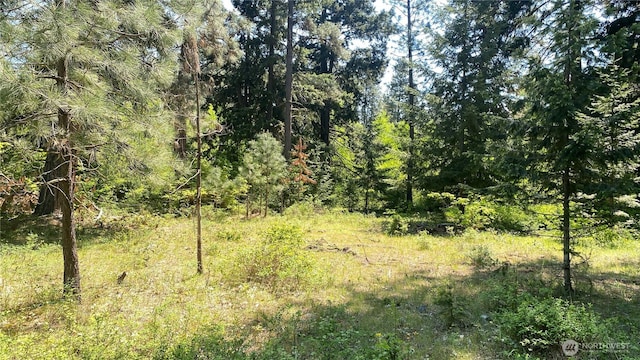 3001 Highway Sr970 C, Cle Elum, WA 98922
