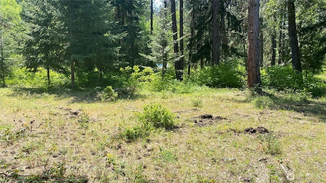 3001 Highway Sr970 C, Cle Elum, WA 98922