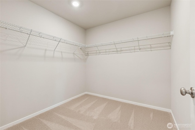 769 SE 12th Pl Unit 29, North Bend, WA 98045 - spacious closet featuring light carpet
