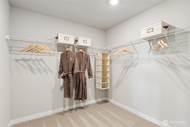 769 SE 12th Pl Unit 29, North Bend, WA 98045 - walk in closet with carpet flooring