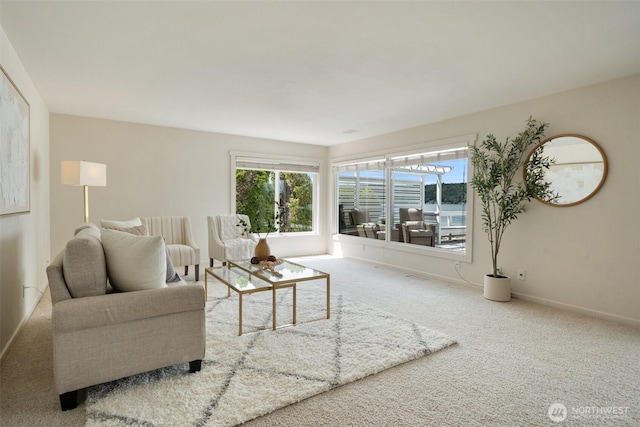 11521 E State Route 106, Union, WA 98592 - carpeted living room featuring baseboards