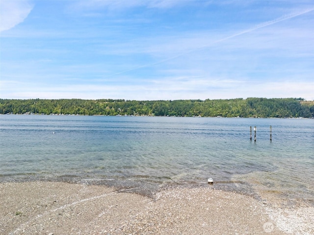 11521 E State Route 106, Union, WA 98592 - water view with a heavily wooded area