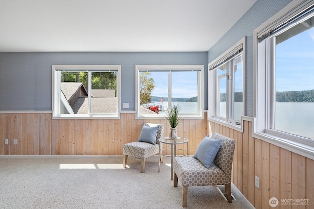 11521 E State Route 106, Union, WA 98592 - living area with wood walls, wainscoting, carpet, and a water view