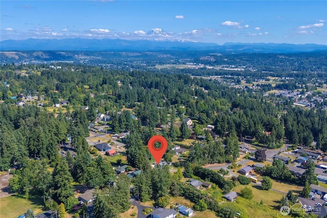 4211 108th Ave E, Edgewood, WA 98372 - aerial overview of property's location with mountains and a forest